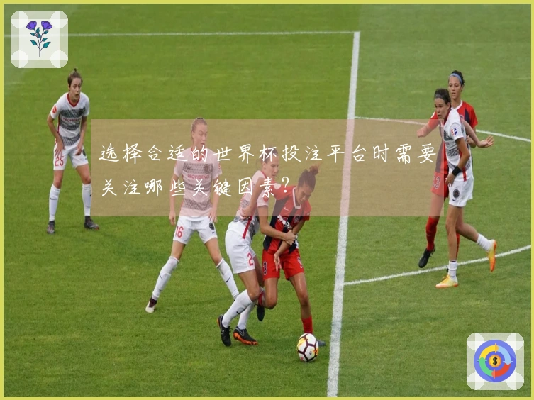 选择合适的世界杯投注平台时需要关注哪些关键因素？