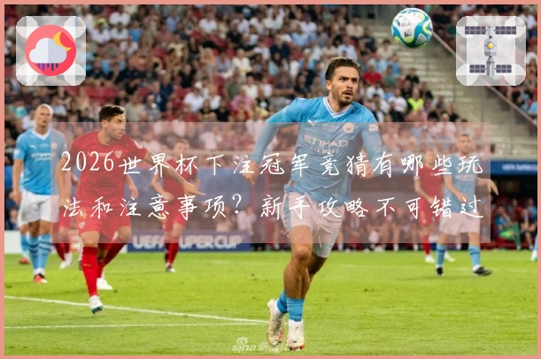 2026世界杯下注冠军竞猜有哪些玩法和注意事项？新手攻略不可错过