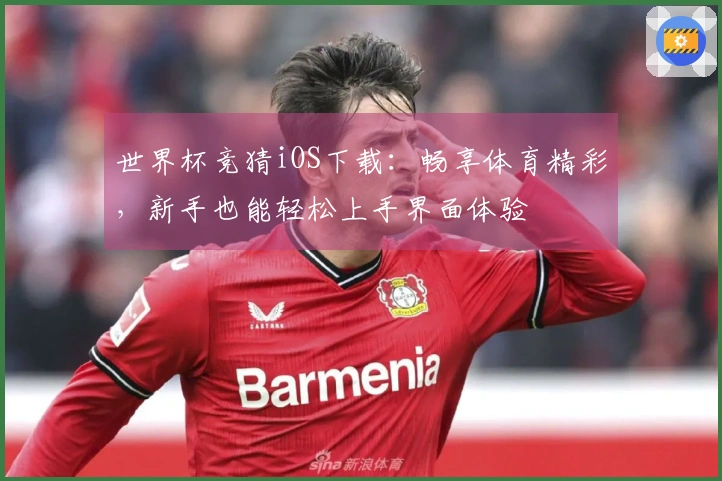 世界杯竞猜iOS下载：畅享体育精彩，新手也能轻松上手界面体验