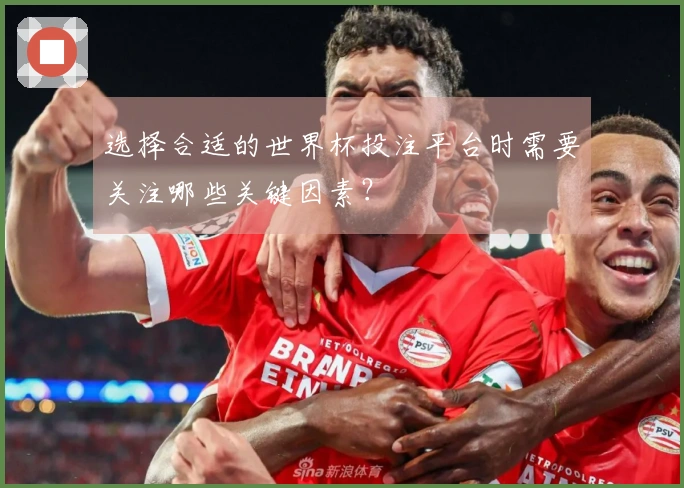 选择合适的世界杯投注平台时需要关注哪些关键因素？