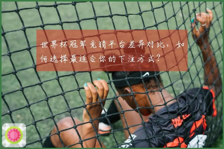 世界杯冠军竞猜平台差异对比，如何选择最适合你的下注方式？