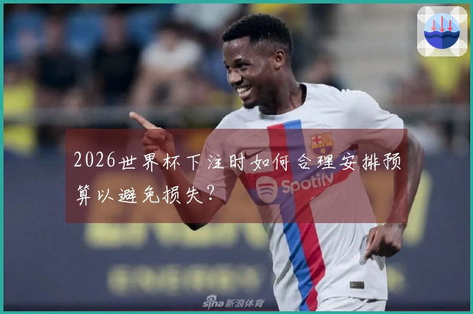 2026世界杯下注时如何合理安排预算以避免损失？