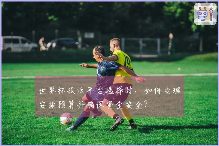 世界杯投注平台选择时，如何合理安排预算并确保资金安全？