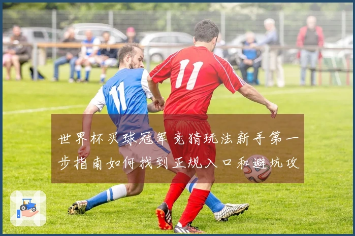 世界杯买球冠军竞猜玩法新手第一步指南如何找到正规入口和避坑攻略