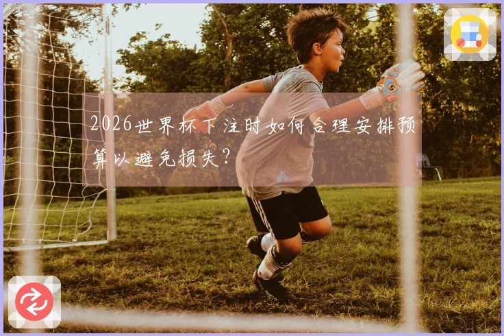 2026世界杯下注时如何合理安排预算以避免损失？